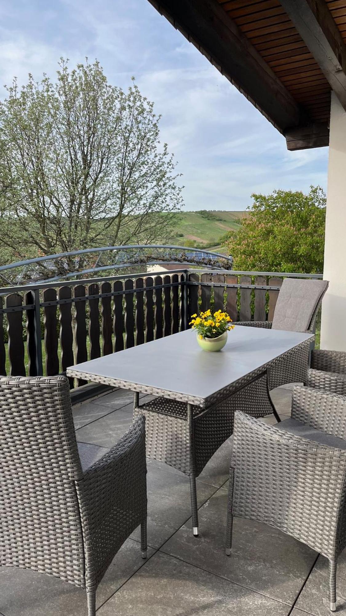 Apartment 100 Qm Im Weindorf - Balkon/Garage Aspisheim Екстериор снимка